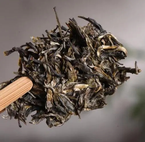 茶無貴賤！這些不知名的山頭，其實也產優(yōu)質普洱茶！