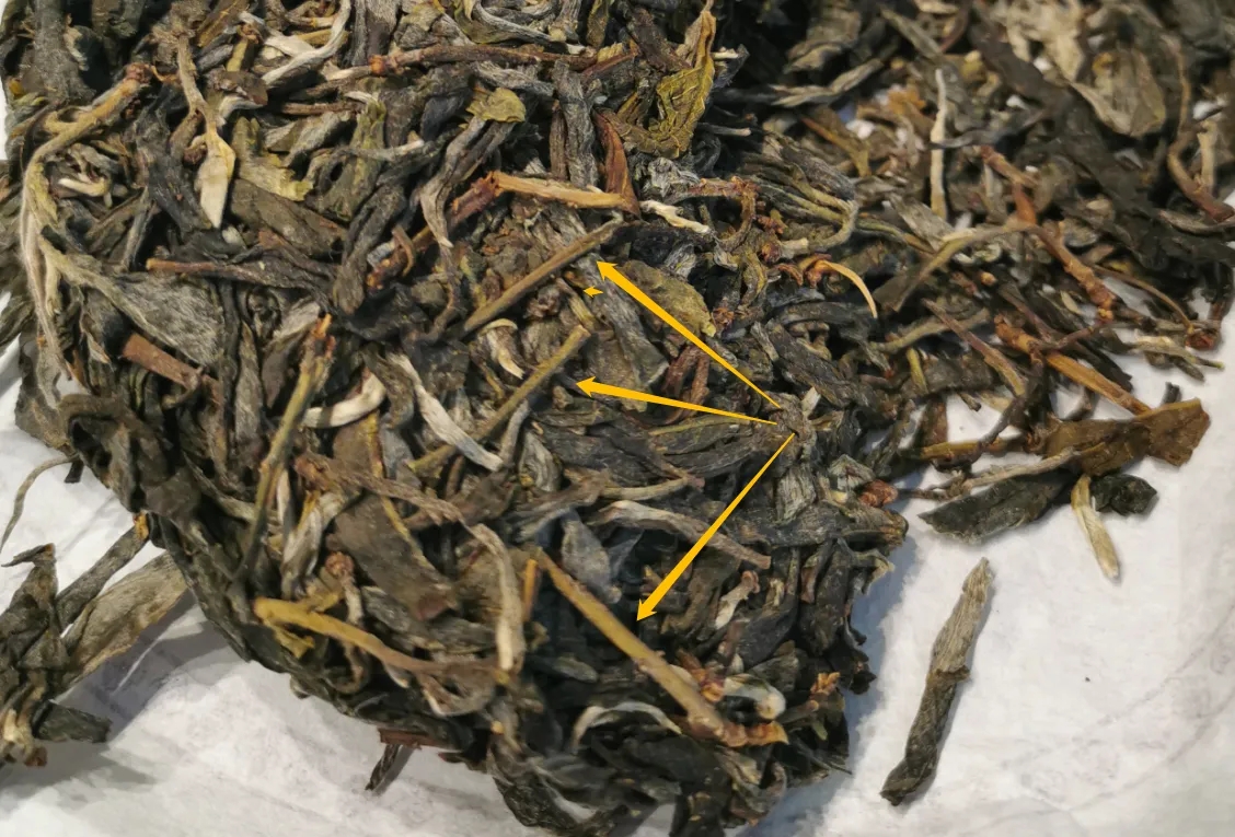 普洱茶的葉底有茶梗，就是茶不好嗎？