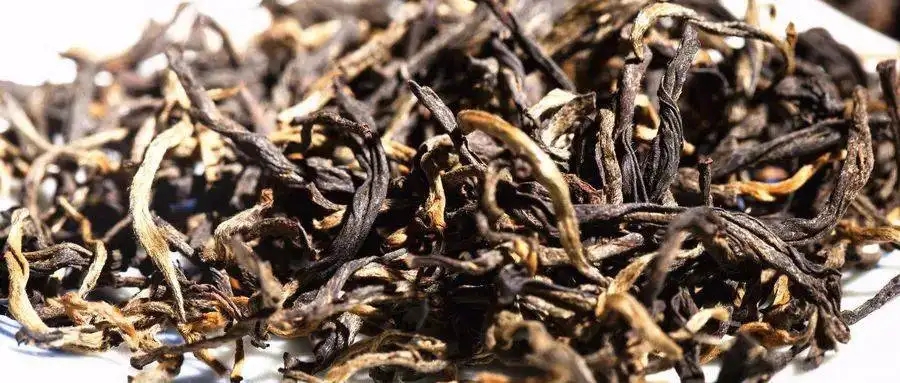 什么是茶氣？茶氣強(qiáng)勁又是一種怎樣的體驗(yàn)？