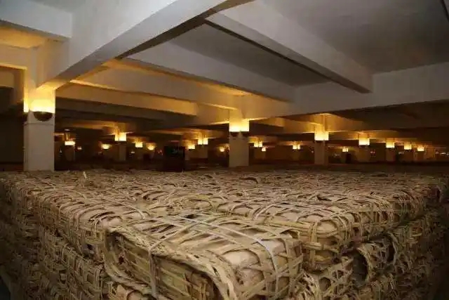 云南古樹普洱茶好在哪？相比小樹茶、臺地茶有何不同？