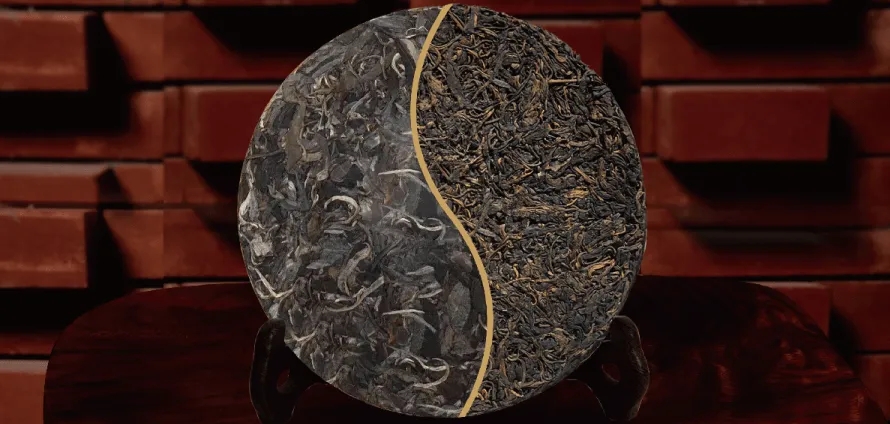 一入普門深似海？入普洱門前，你需要了解這些