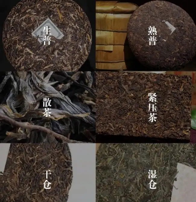 普洱茶不是越陳越香嗎？怎么也有最佳品飲期？