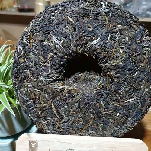 勐庫茶到底是個啥味道？