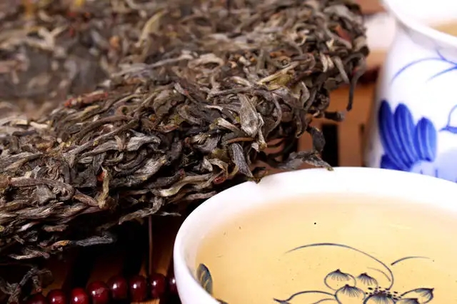 喝普洱茶，生茶和熟茶哪個更適合你？