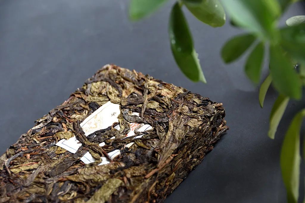 普洱茶古樹(shù)黃片，性價(jià)比超高的口糧茶，有骨有肉香甜順