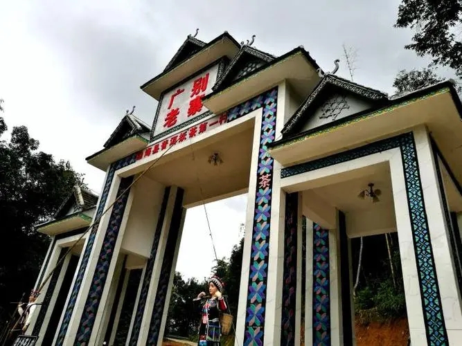 2023年廣別老寨古樹春茶品質(zhì)如何？