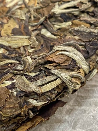 2023年拔瑪老寨古樹春茶特點是什么？