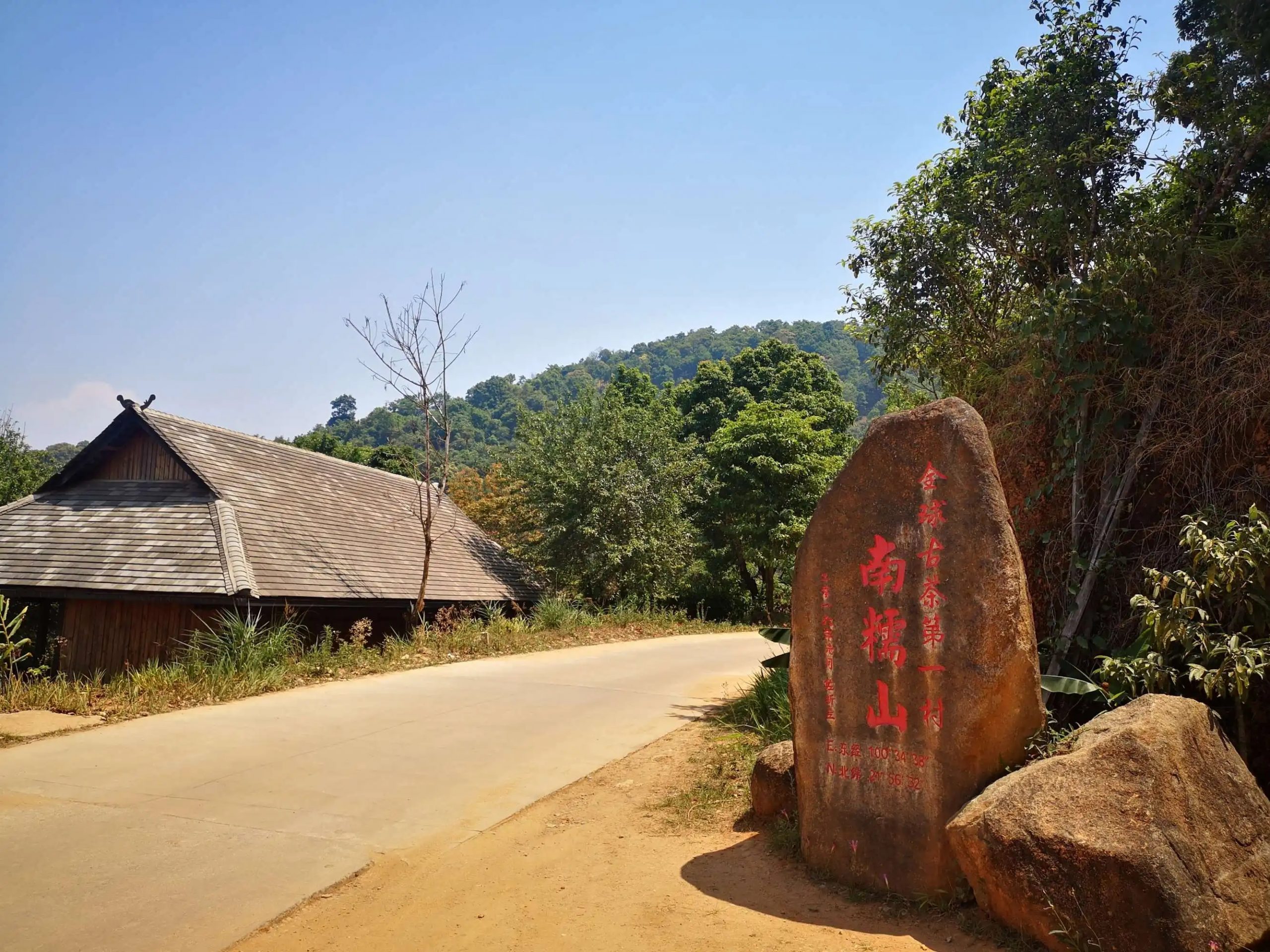 2023年南糯山古樹春茶品質(zhì)怎么樣？