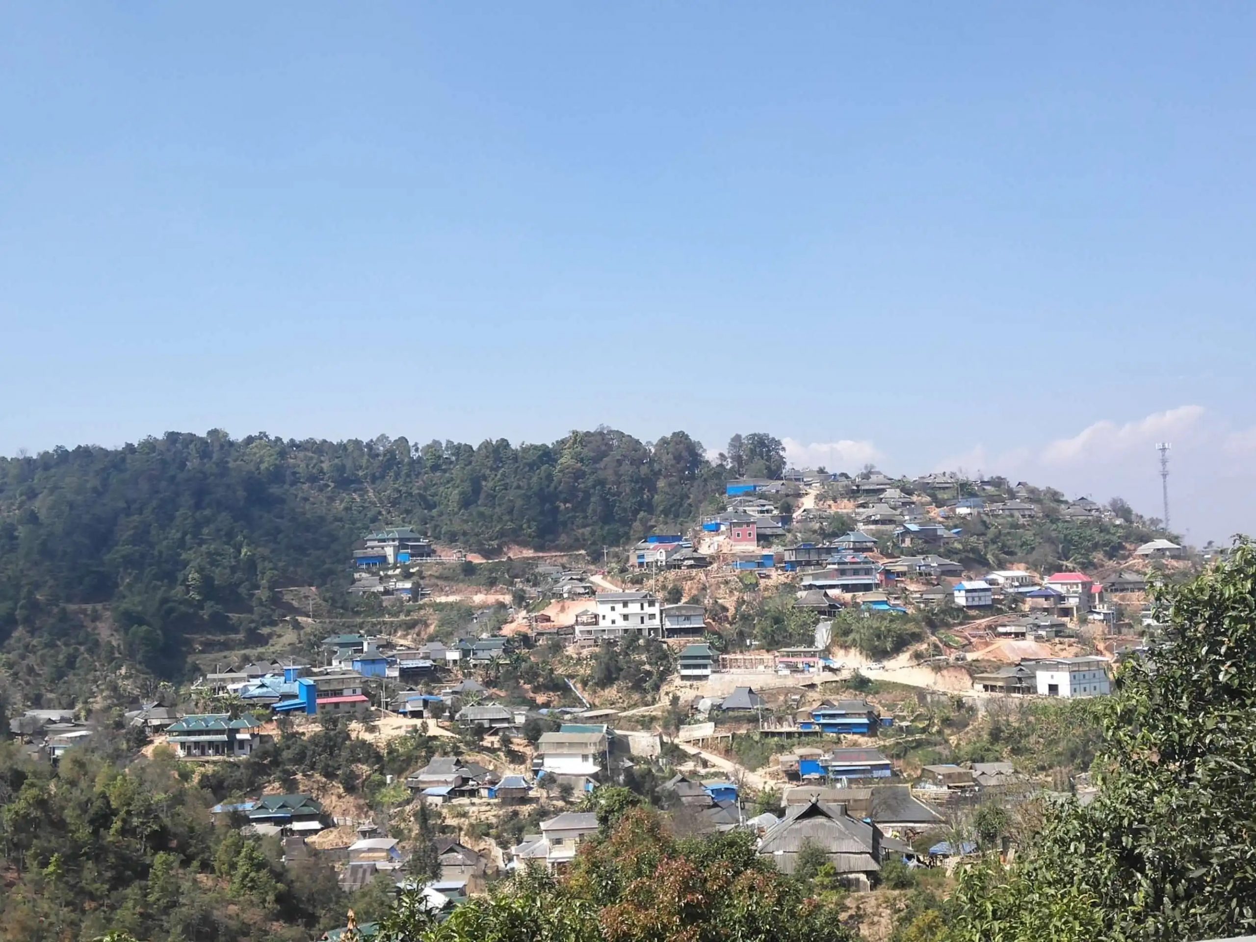 2023年帕沙古樹春茶品質(zhì)如何？