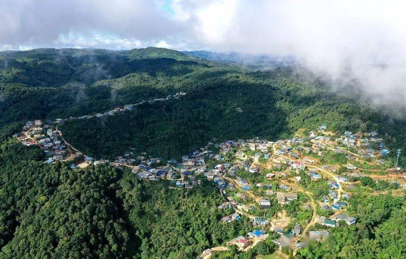 2023年帕沙古樹(shù)春茶口感怎么樣？