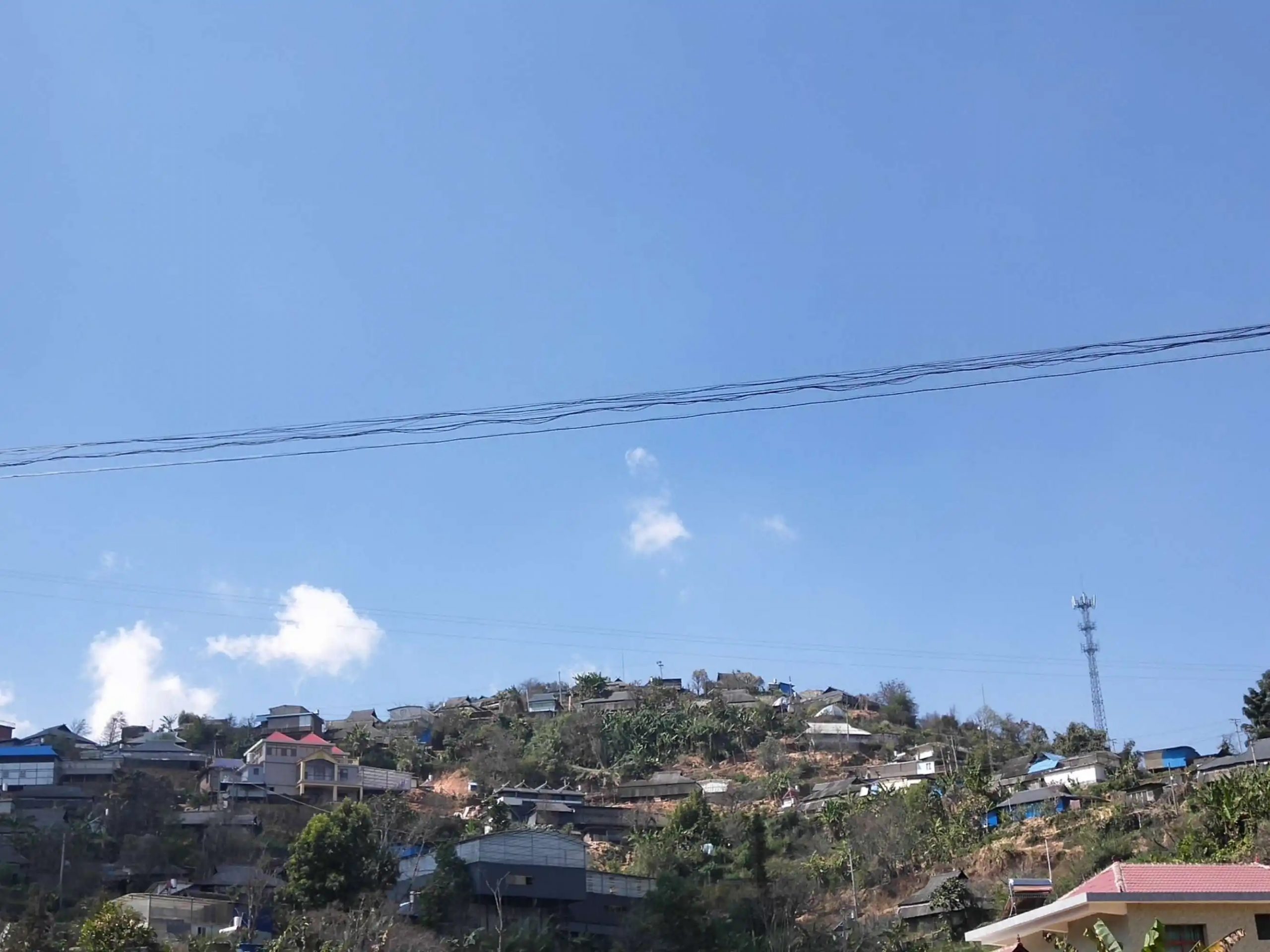 2023帕沙古樹春茶特點是什么？