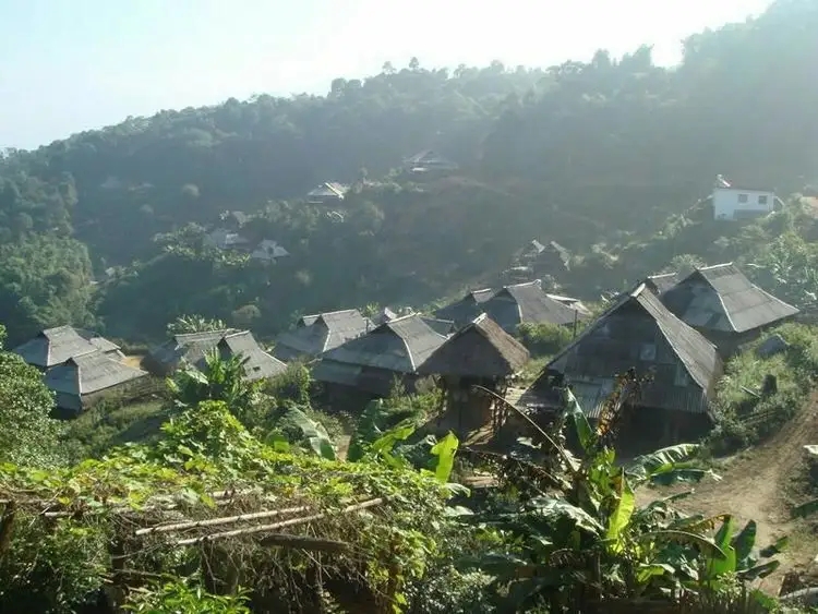 2023年帕沙古樹春茶多少一公斤？