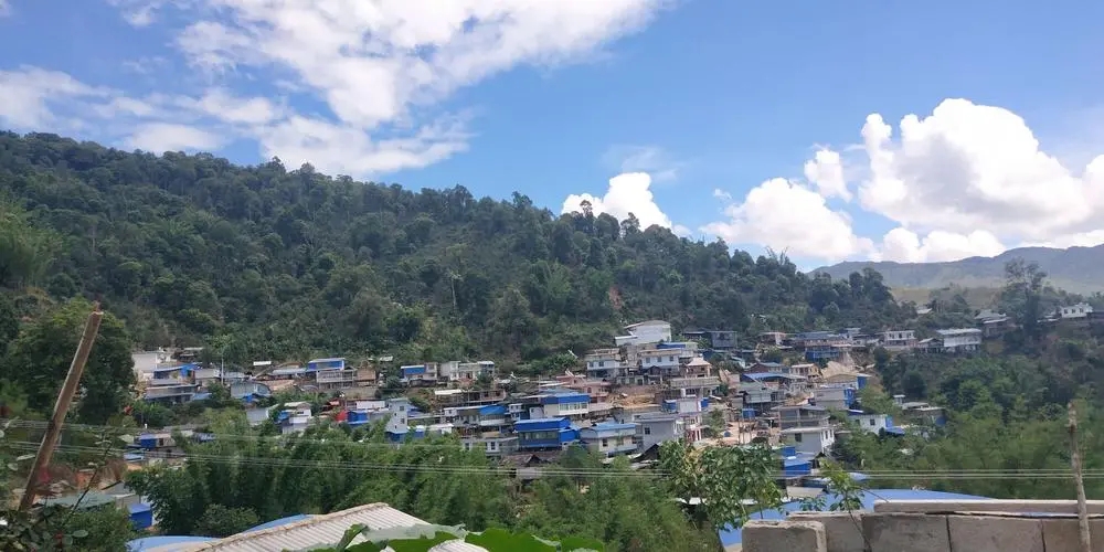 2023年那卡古樹春茶品質(zhì)如何？