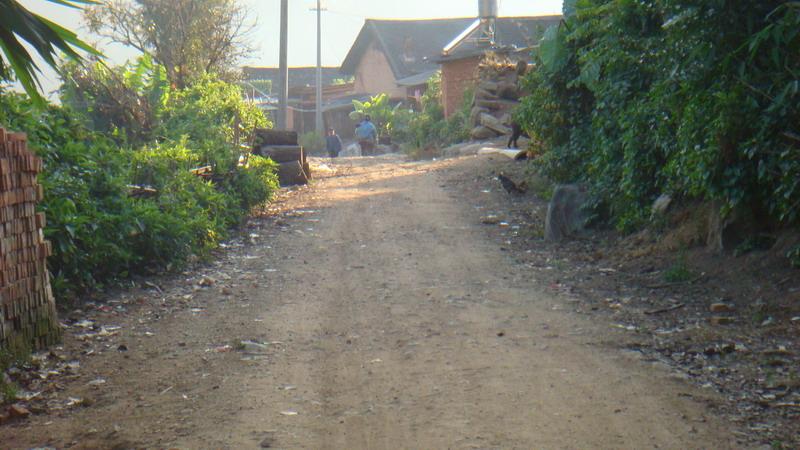 2023年保塘老寨古樹(shù)春茶價(jià)格是多少？