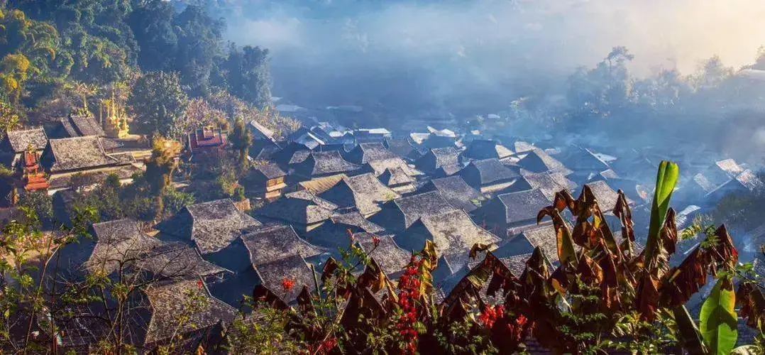 2023年景邁古樹春茶品質(zhì)如何？