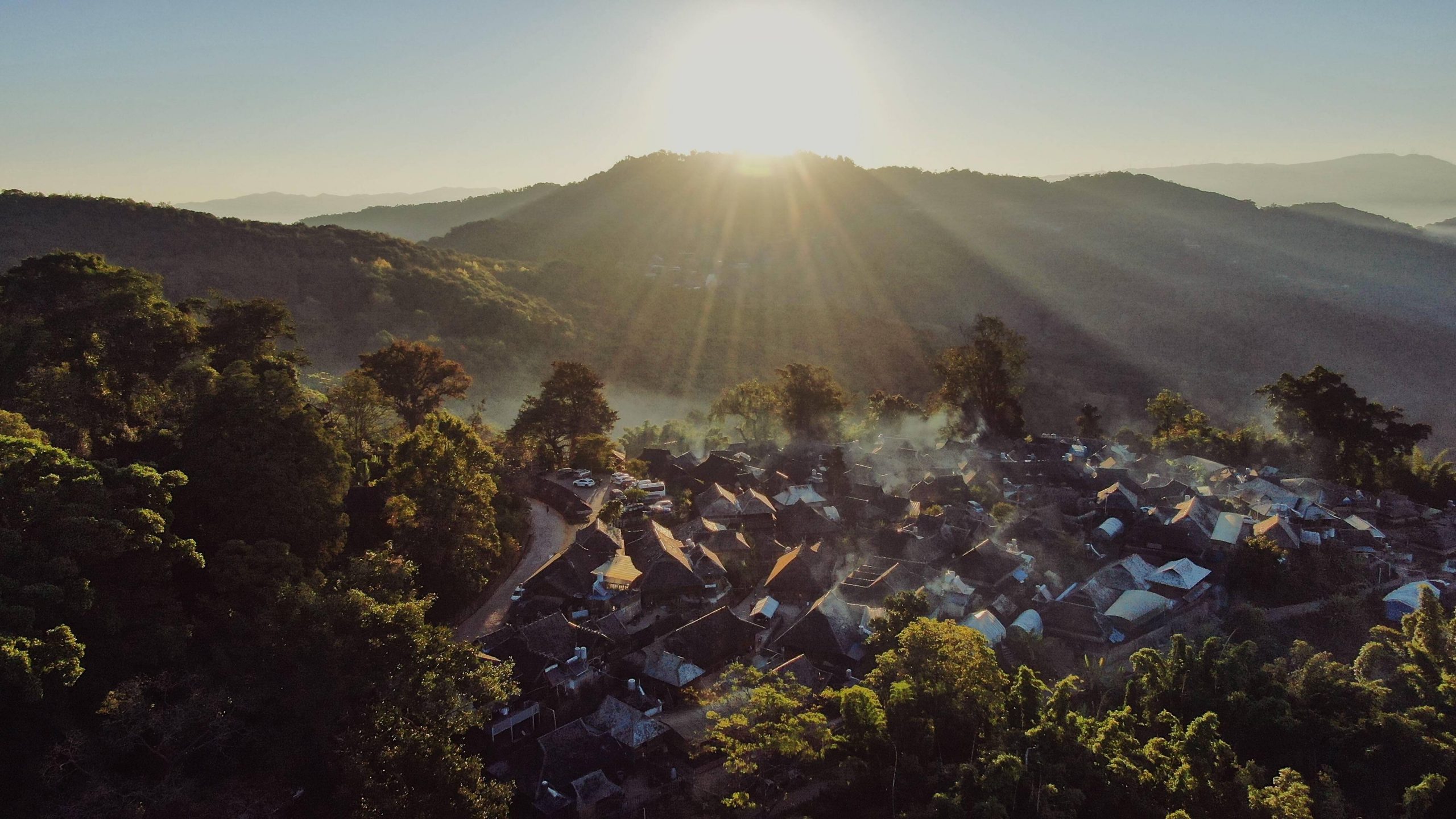 2023年景邁古樹(shù)春茶多少錢(qián)一公斤？