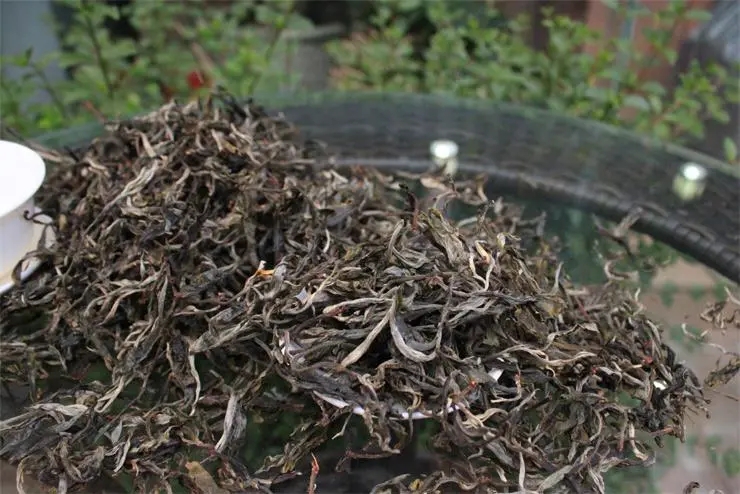 2023冰島古樹春茶品質(zhì)如何？