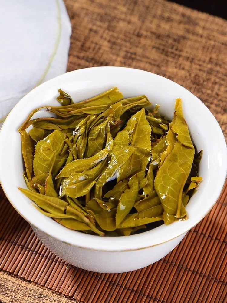 2023白鶯山古樹春茶特點是什么？