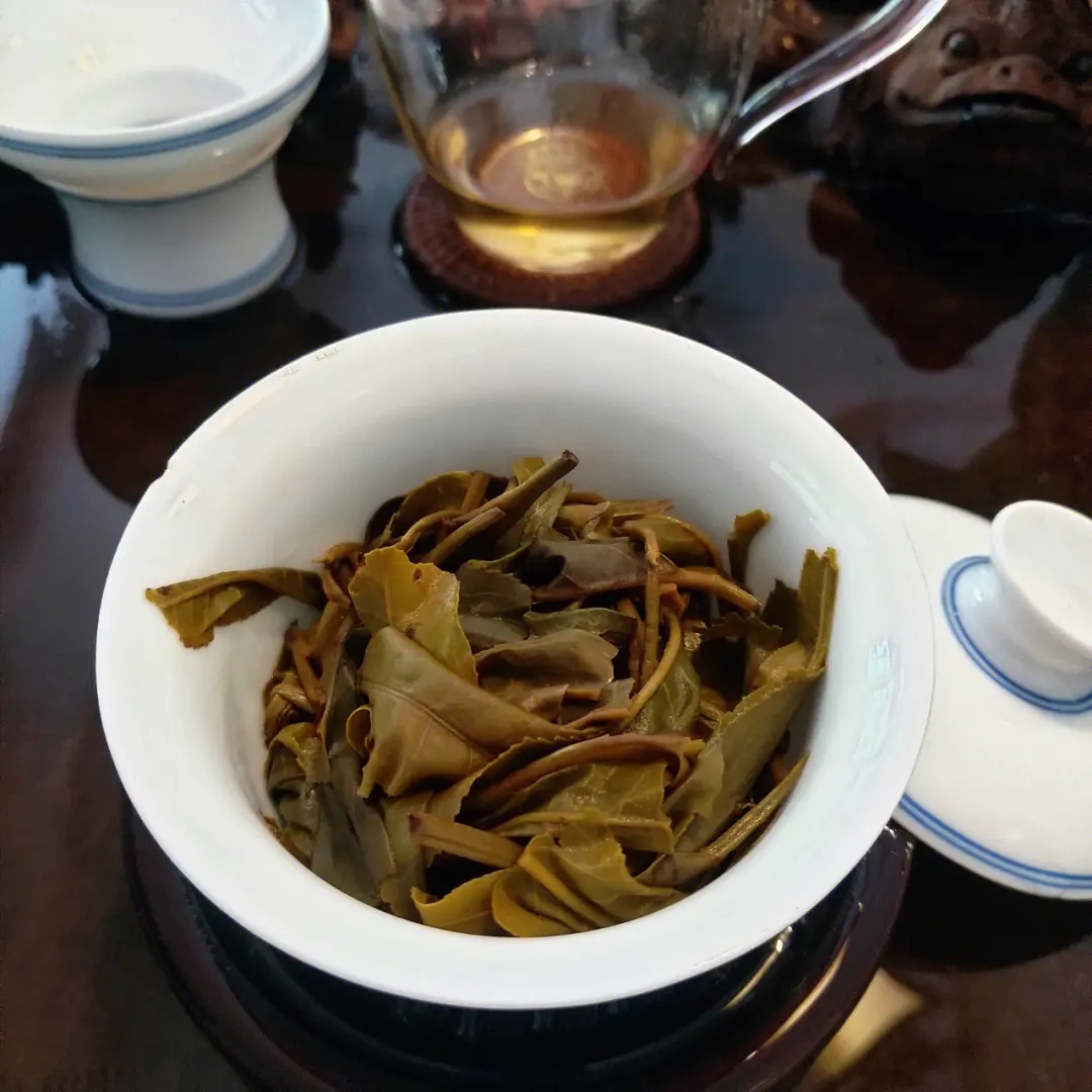 2023年昔歸古樹春茶口感如何？