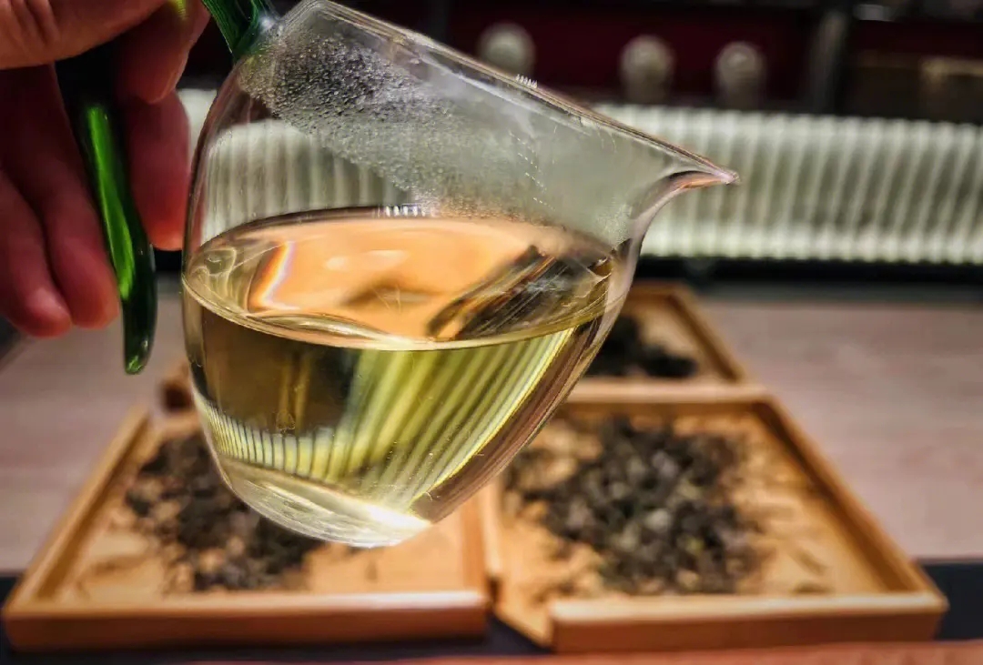 2023年鳳凰窩古樹春茶價格是多少？