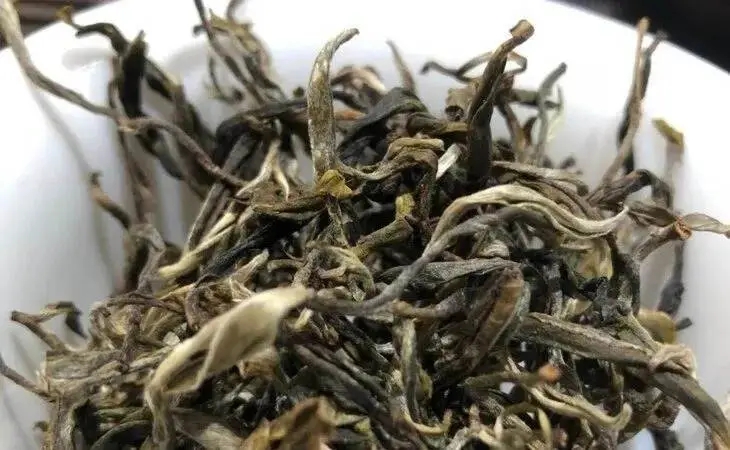 2023年鳳凰窩古樹春茶多少一公斤？