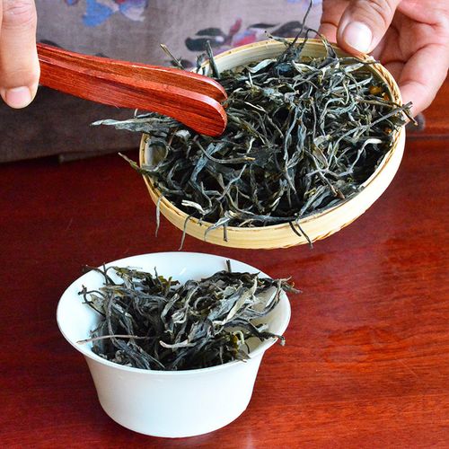 2023年地界古樹春茶口感是什么？