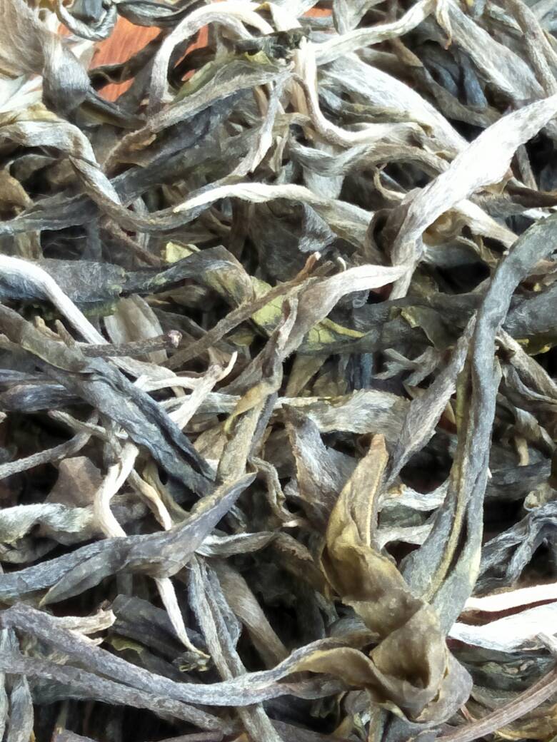 2023年壩歪古樹春茶價格是多少？