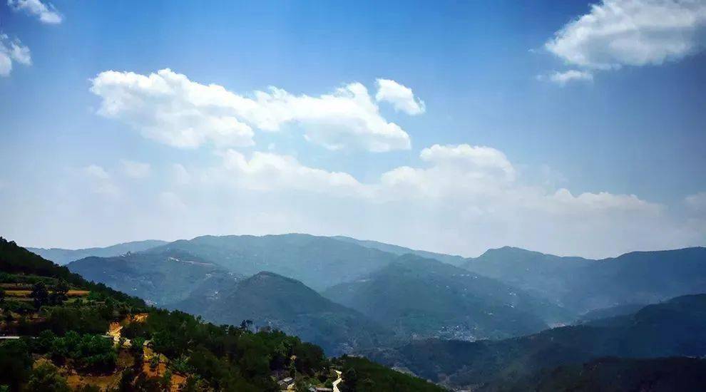 2023年勐庫大忠山古樹春茶價(jià)格是多少？