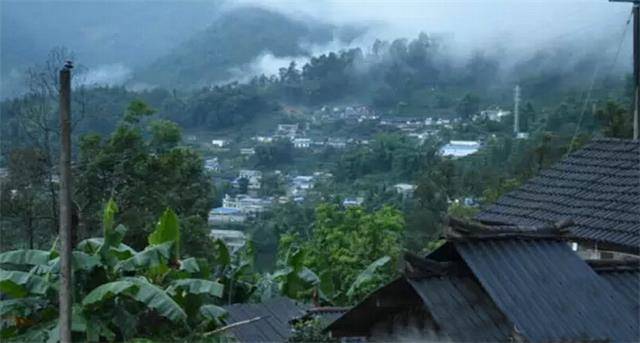 2023年勐庫豆腐寨古樹春茶口感怎么樣？