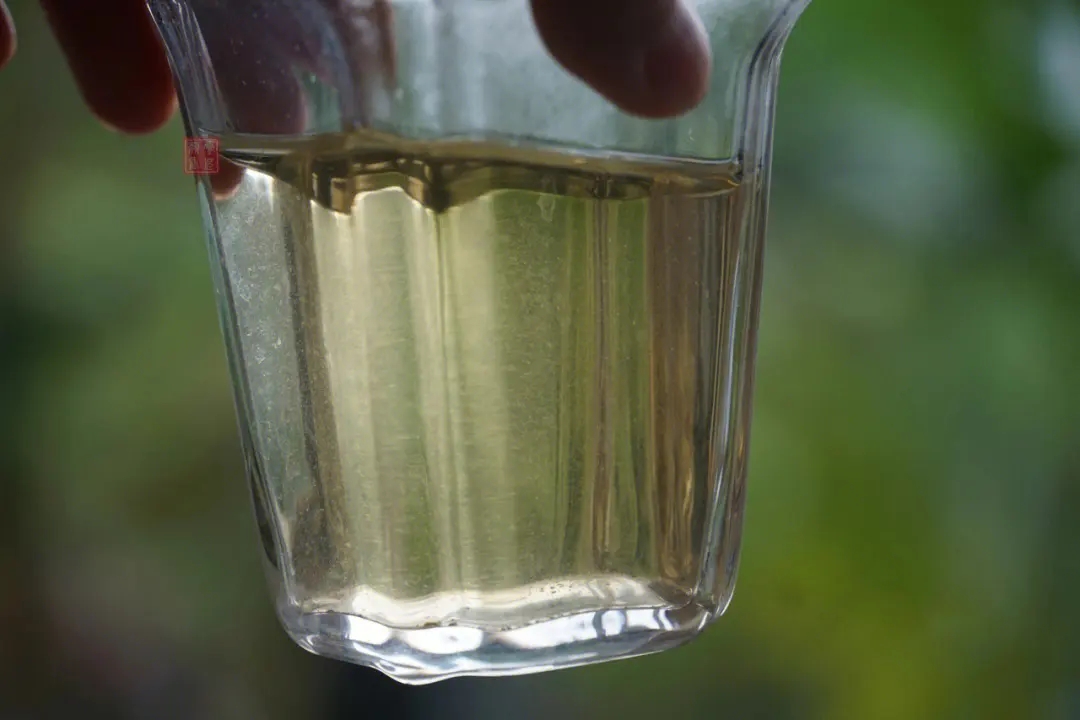 2023年多依樹古樹春茶價(jià)格是多少？