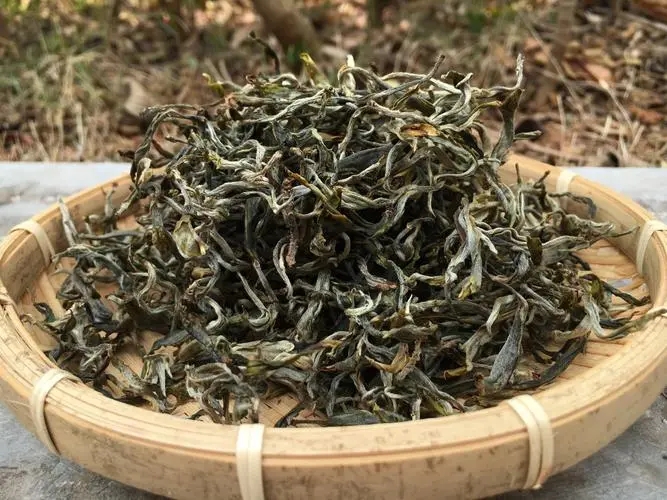 2023年易武張家灣古樹(shù)春茶品質(zhì)如何？