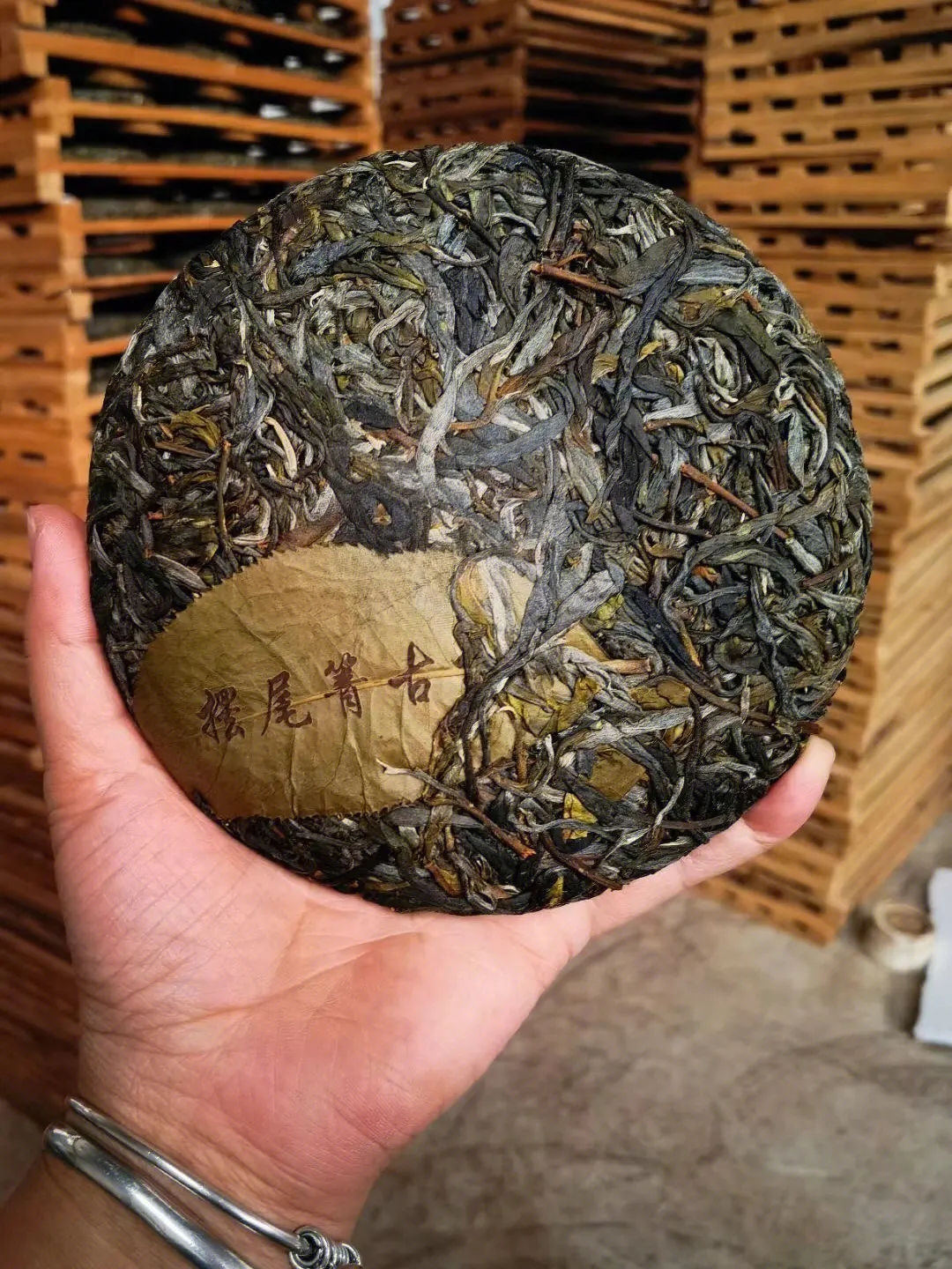 2023年寧洱擺尾箐古樹(shù)春茶品質(zhì)怎么樣？