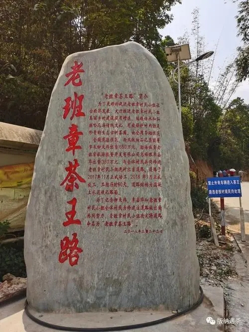 2024年老班章古樹(shù)春茶品質(zhì)如何？