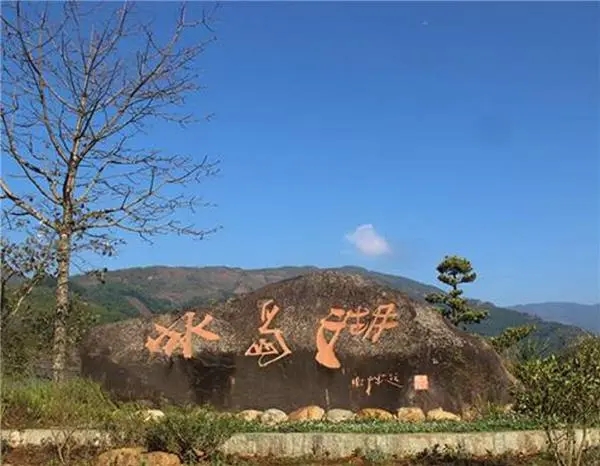 2024年冰島老寨古樹(shù)春茶品質(zhì)怎么樣？