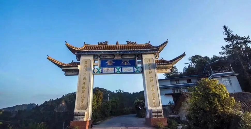 2024年墨江鳳凰窩古樹春茶特點(diǎn)是什么？