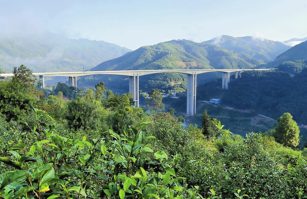 2024年昔歸古樹(shù)春茶品質(zhì)如何？