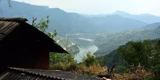 2024年磨烈古樹春茶價(jià)格多少？