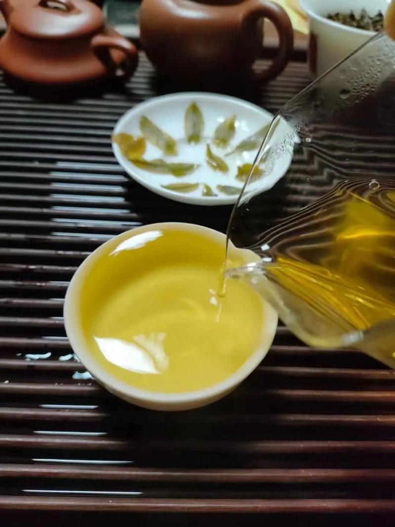 倚邦貢茶，甘甜醇柔